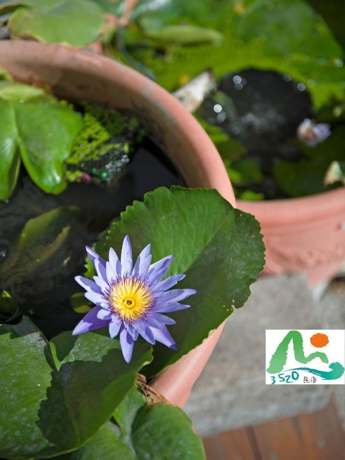 Taitung 3520 Homestay מראה חיצוני תמונה