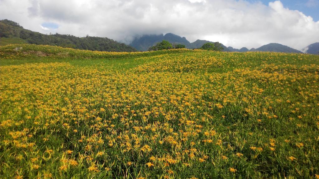 Taitung 3520 Homestay מראה חיצוני תמונה
